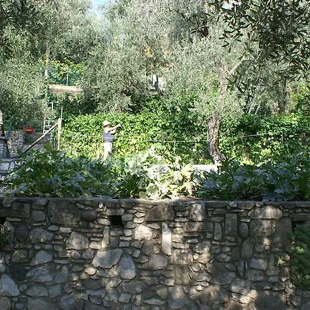 Hotel Riviera Limone sul Garda